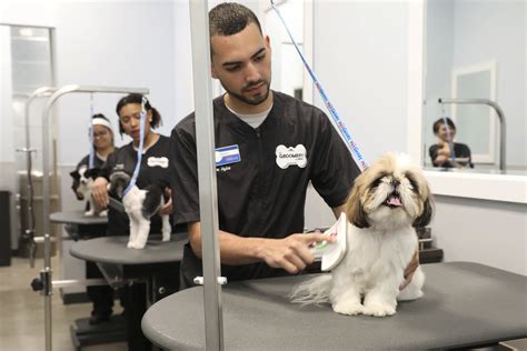 petsmart grooming salon hours|petsmart 10 off grooming service.